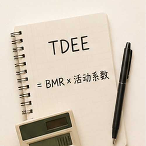 What Is TDEE? Total Daily Energy Expenditure Explained
